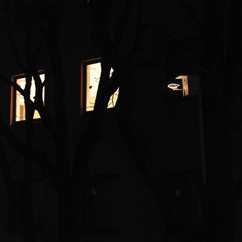 ILLUMINATED MEMORIES