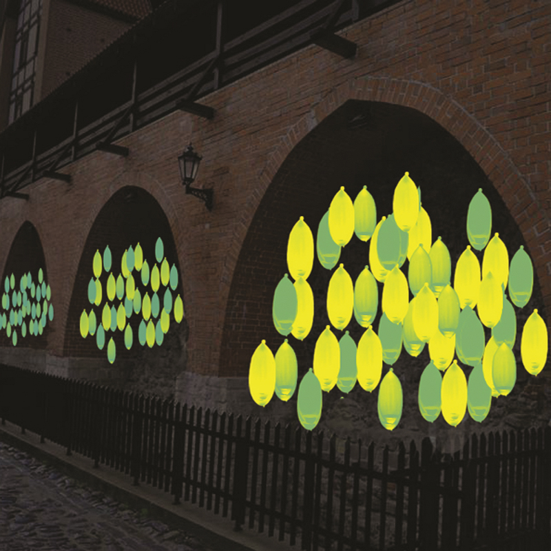 Adventures of a Turtle