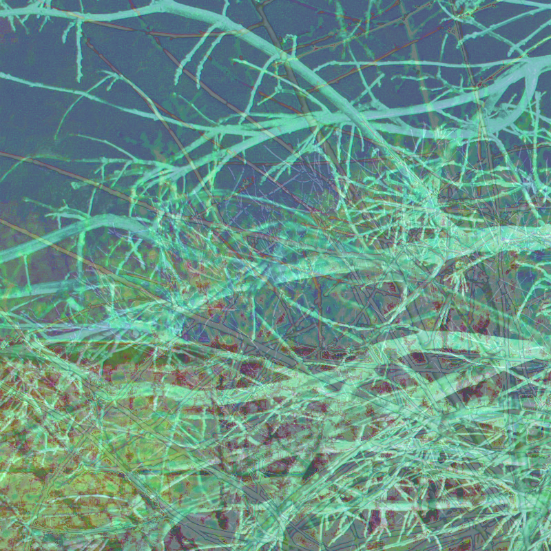 In the Shadow of 60 Beams