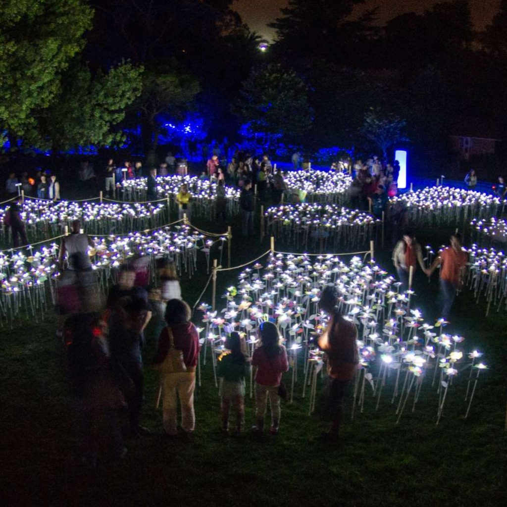NĀKOTNES ATMIŅU ZIEDLAPIŅAS
